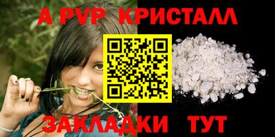 apvp Свободный