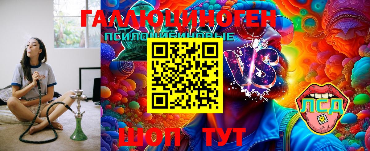 Псилоцибиновые грибы MAGIC MUSHROOMS  Вход с VPN  Балашиха 