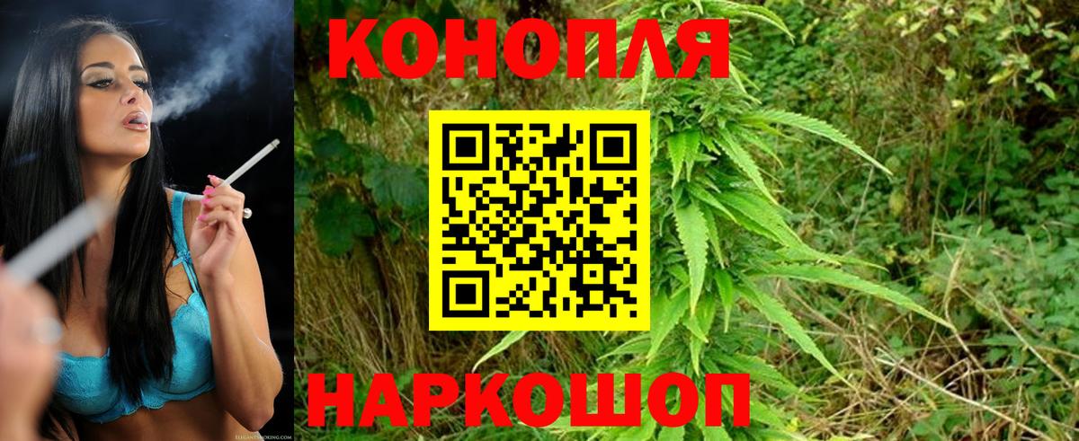Бошки марихуана SATIVA & INDICA Балашиха